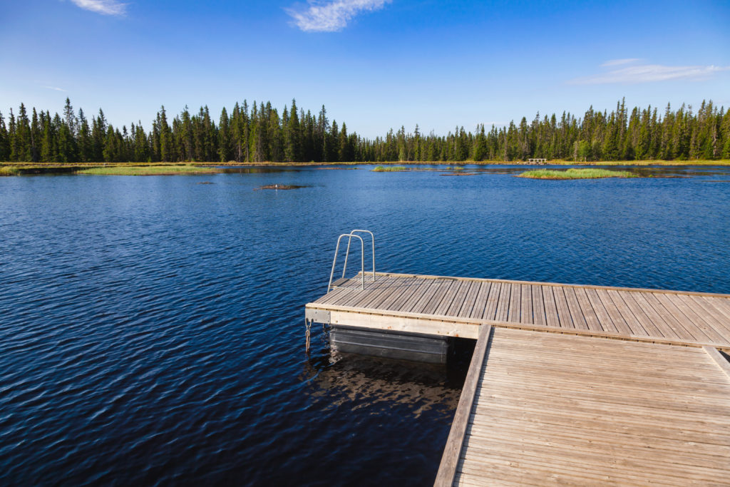 Floating Swimming Raft Dock On Forest Lake - Charleston Dock Doctors LLC